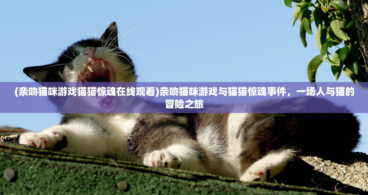 (亲吻猫咪游戏猫猫惊魂在线观看)亲吻猫咪游戏与猫猫惊魂事件，一场人与猫的冒险之旅