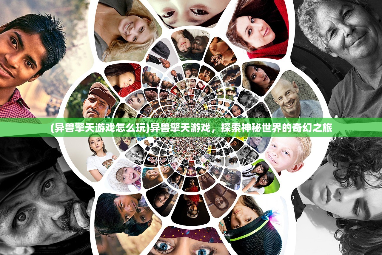 (小鸟ol官网)小鸟ol网页版，探索与解析