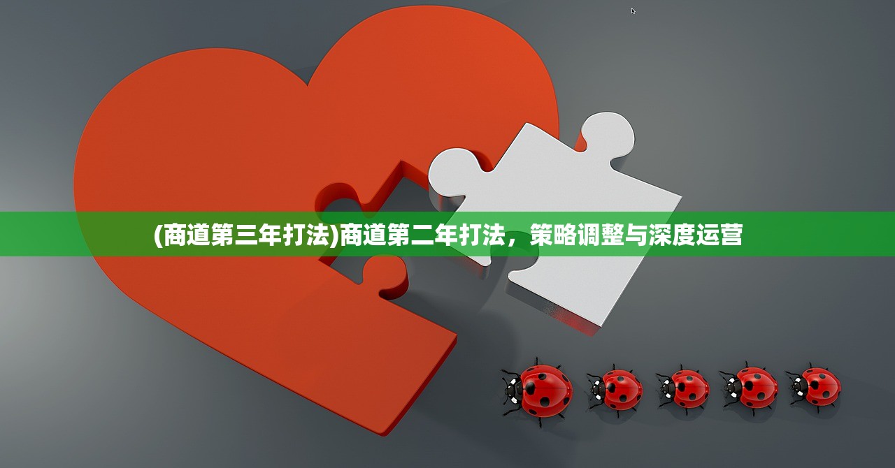 (商道第三年打法)商道第二年打法，策略调整与深度运营