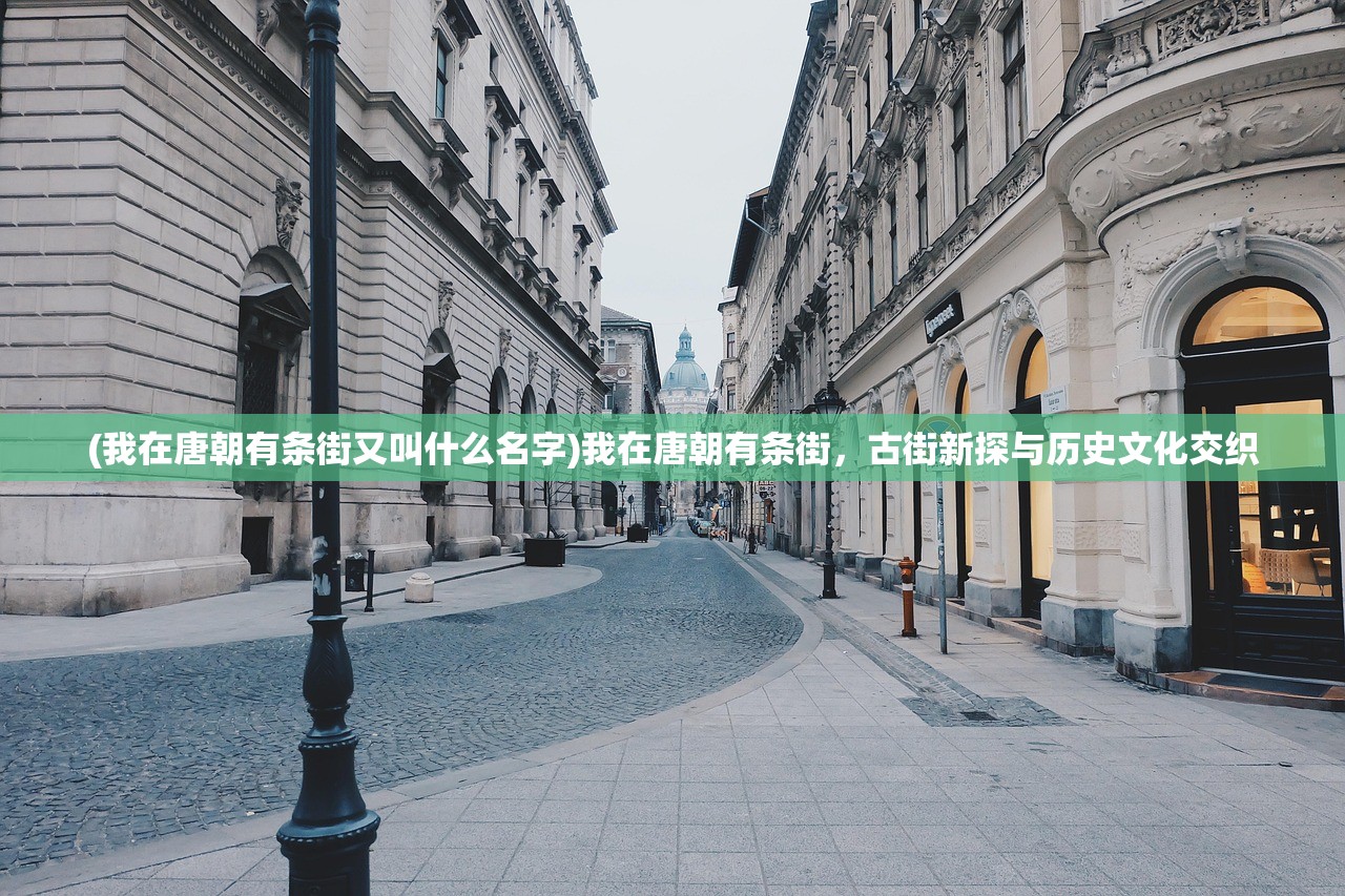 (我在唐朝有条街又叫什么名字)我在唐朝有条街，古街新探与历史文化交织