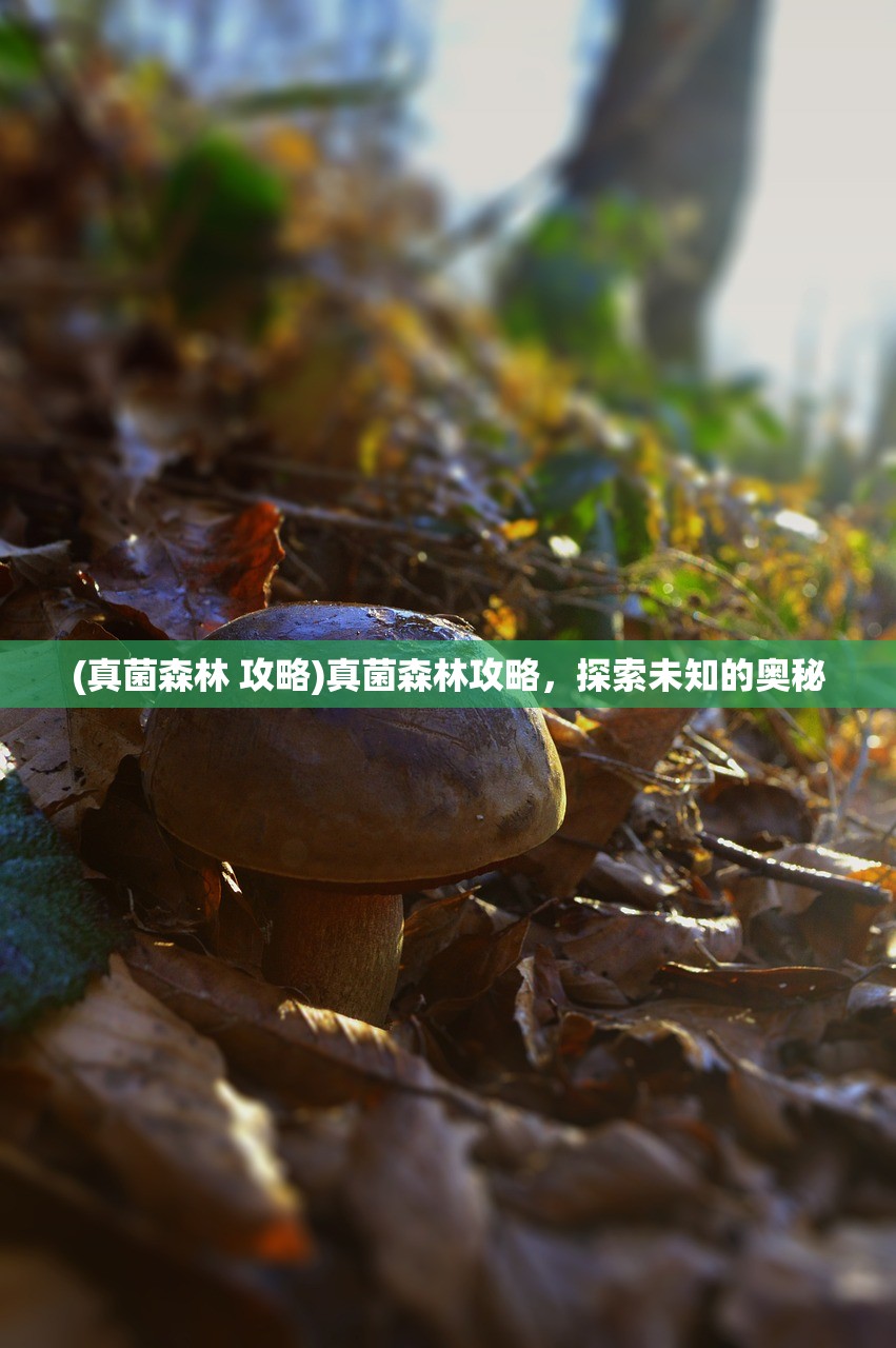(真菌森林 攻略)真菌森林攻略，探索未知的奥秘