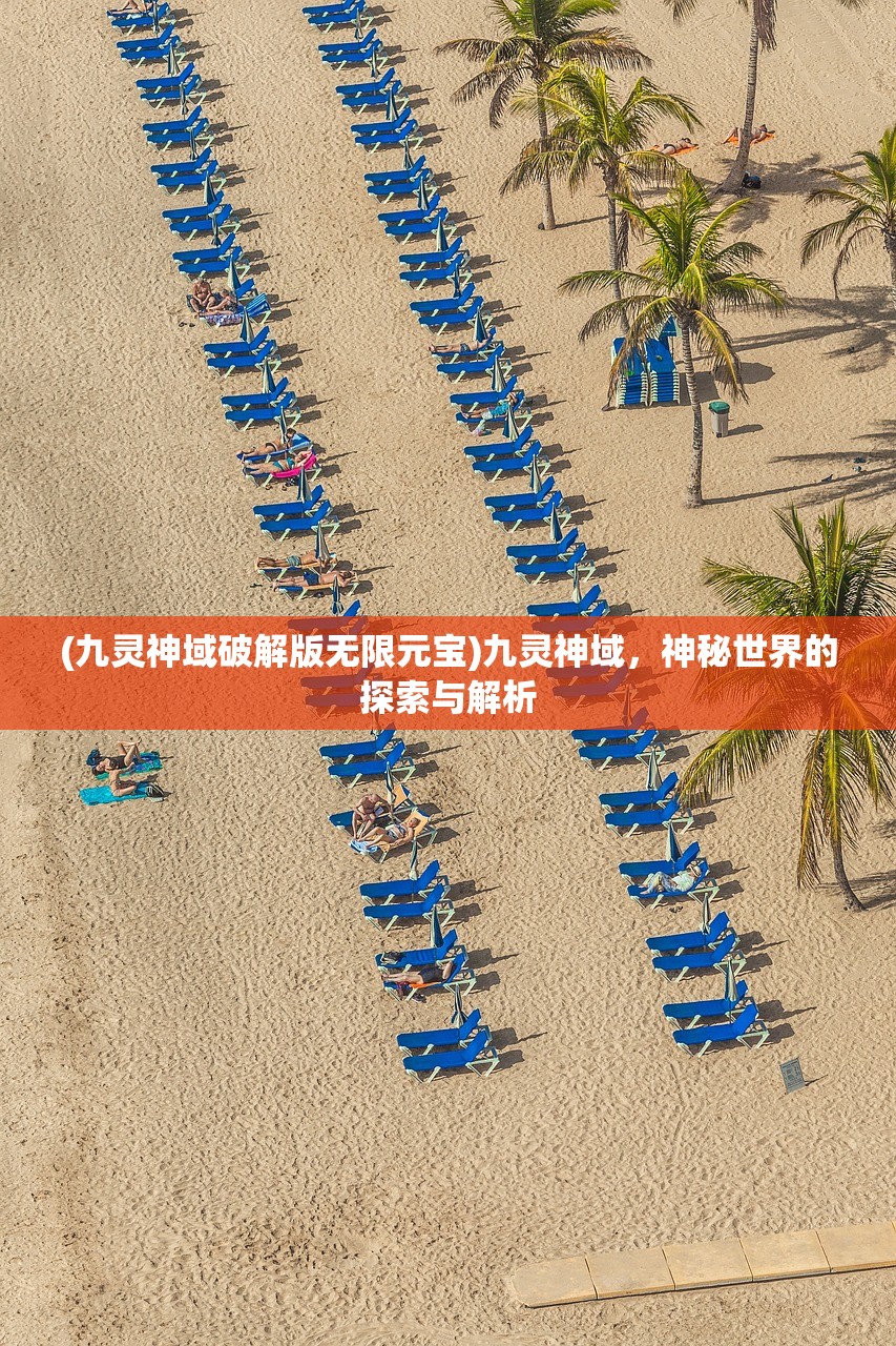 (九灵神域破解版无限元宝)九灵神域，神秘世界的探索与解析