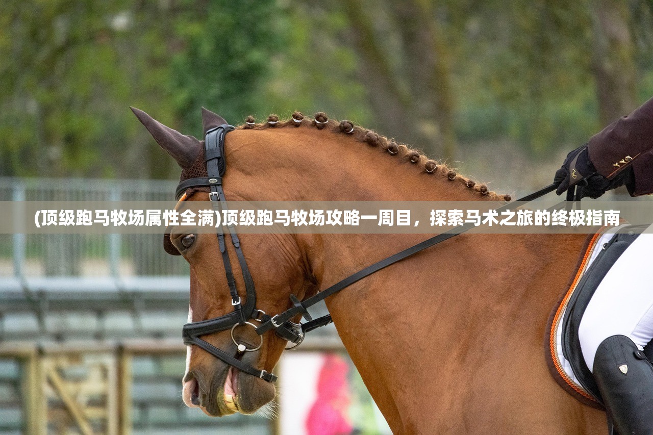 (顶级跑马牧场属性全满)顶级跑马牧场攻略一周目,探索马术之旅的终极指南 (顶级跑马牧场属性全满)顶级跑马牧场攻略一周目,探索马术之旅的终极指南