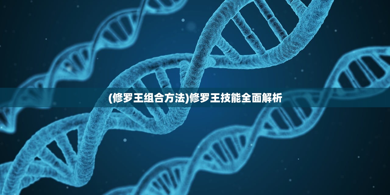 (修罗王组合方法)修罗王技能全面解析