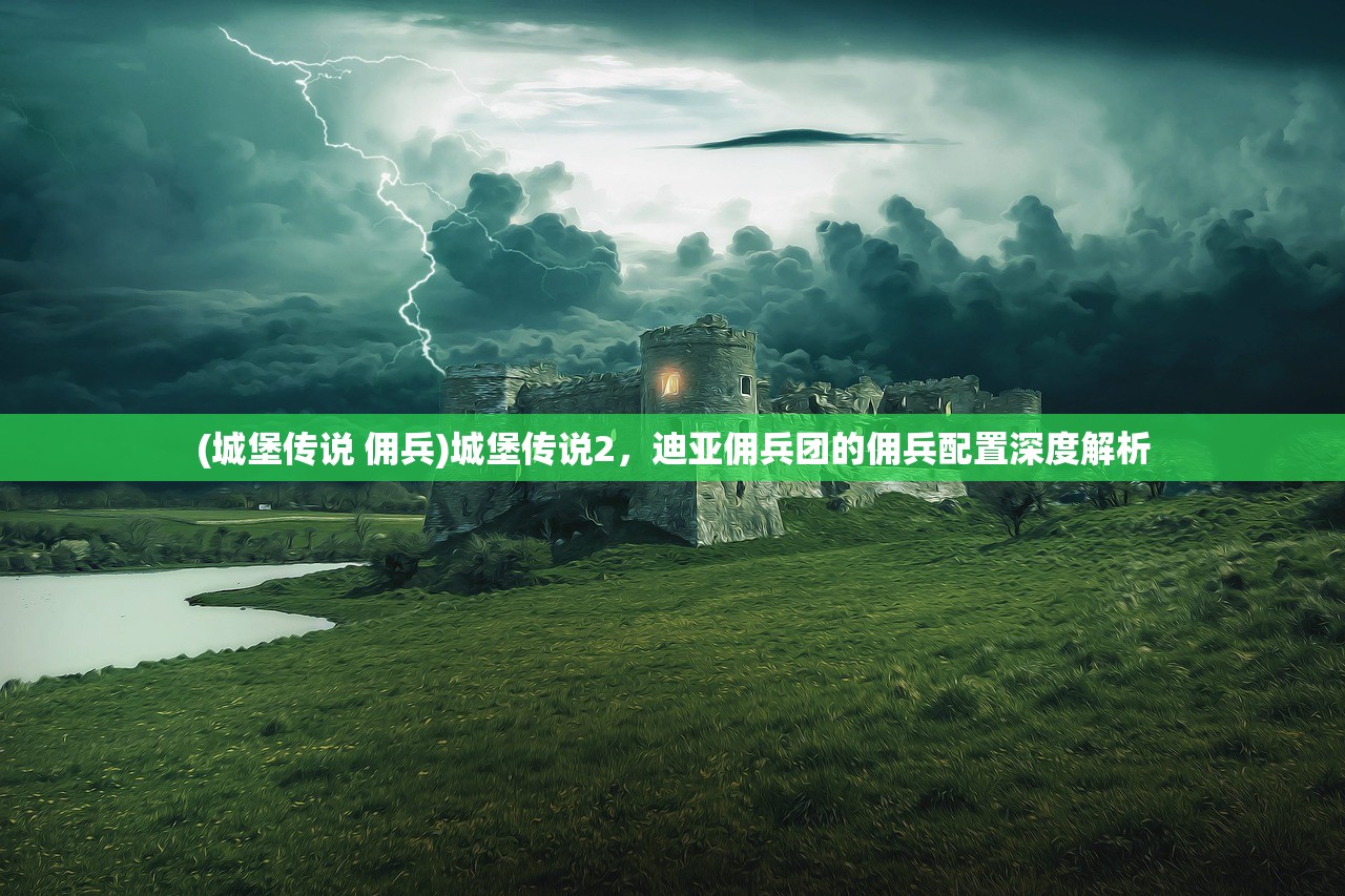 (城堡传说 佣兵)城堡传说2，迪亚佣兵团的佣兵配置深度解析
